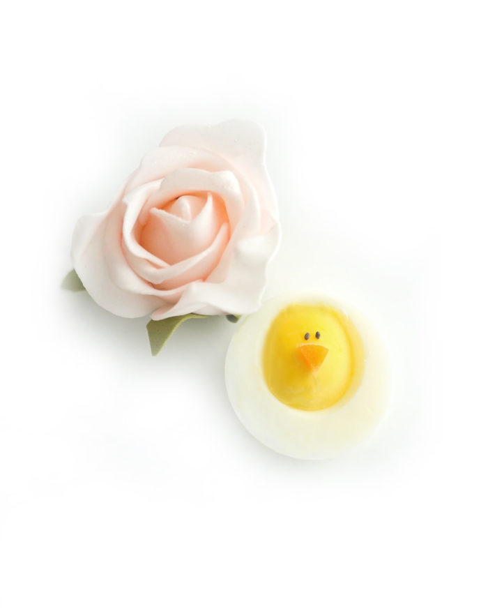 Hard-Boiled Egg Chick and a pink flower