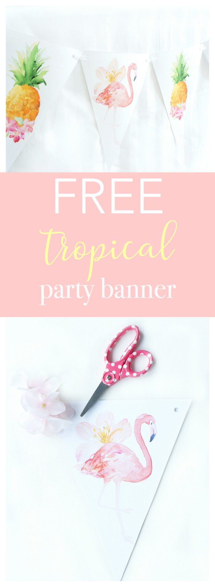 Collage with text: Free tropical party banner