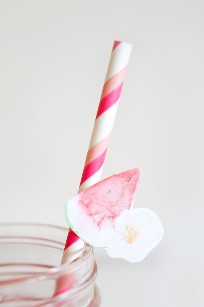 Pink and white striped straw with a watermelon accessory