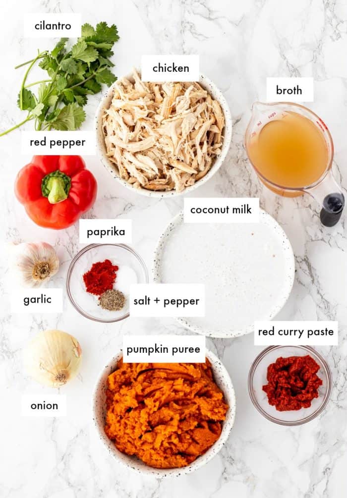 ingredients for pumpkin chicken soup with labels on marble background 