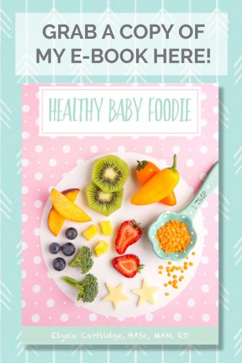 Cover of Healthy Baby Foodie with text: Grab a Copy of my e-book here!